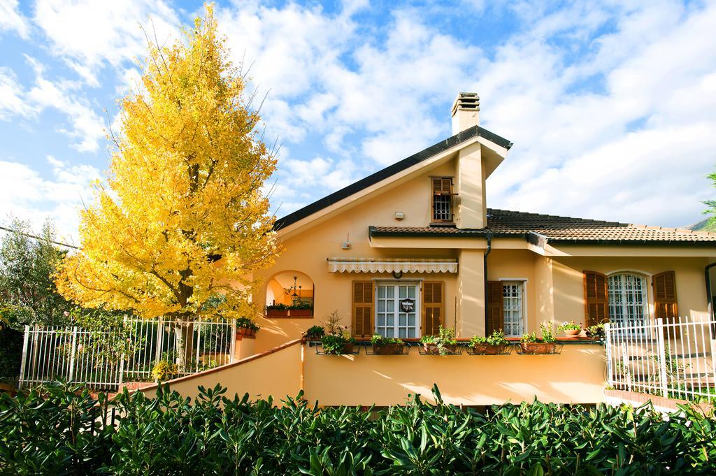 L'Albero Della Vita Bed & Breakfast Ceriale Exterior photo